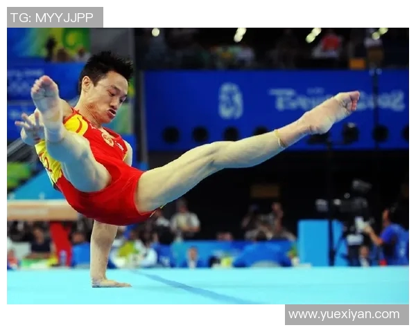 竞技体操C级标准解读与训练技巧全面分析